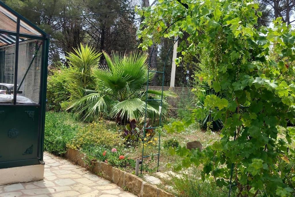 Villa Magali Grande Terrasse Vue Mer, Jardin, Proche Port La Ciotat Eksteriør billede