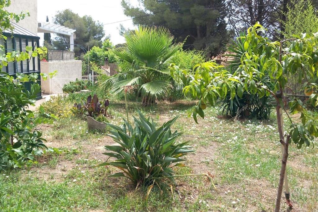 Villa Magali Grande Terrasse Vue Mer, Jardin, Proche Port La Ciotat Eksteriør billede