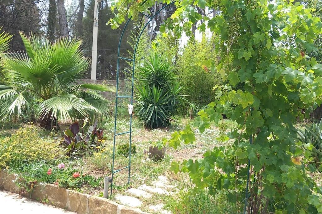 Villa Magali Grande Terrasse Vue Mer, Jardin, Proche Port La Ciotat Eksteriør billede