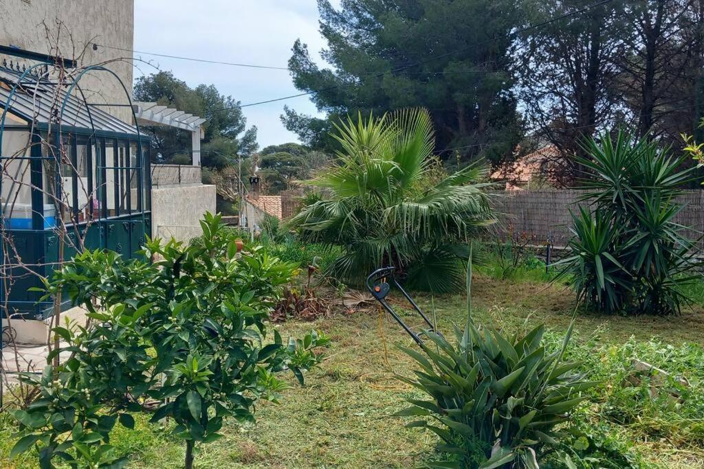 Villa Magali Grande Terrasse Vue Mer, Jardin, Proche Port La Ciotat Eksteriør billede